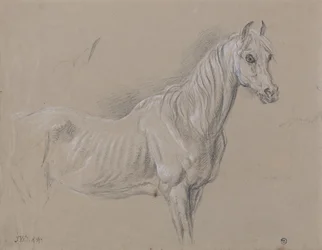 A Mare