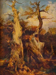In the Forest
