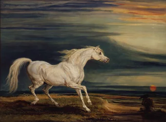 Marengo, the Arab charger, ridden by Napoleon Bonaparte at the Battle of Waterloo