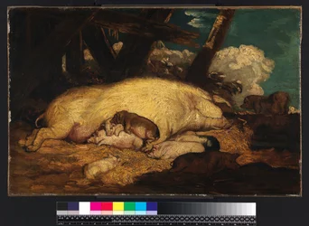 Pigs, not before 1793