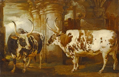 Portraits of Two Extraordinary Oxen, the Property of the Earl of Powis