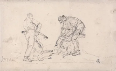 Sheep-Shearing