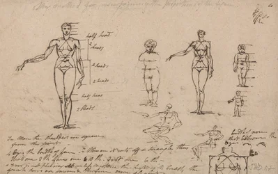 Studies of Anatomy, Measurements and Writing