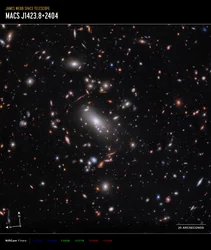 Galaxy Cluster MACS J1423 (NIRCam Compass Image)