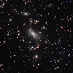 Galaxy Cluster MACS J1423