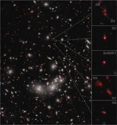 Galaxy Protocluster