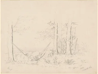 Camp