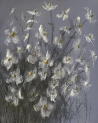 Dreamy White Flowers
