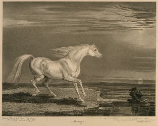 Marengo, from Celebrated Horses, a set of fourteen racing prints published by the artist, 1823-24