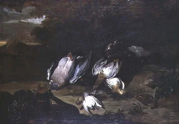 Still life of dead game