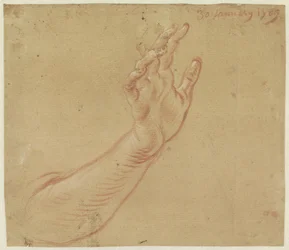 Study of a Right Arm