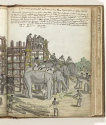 A Bound Elephant Being Led from the Last Section of the Trap, the Prison Corral