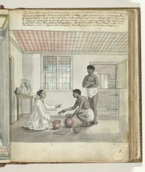Butter Trade in Ceylon