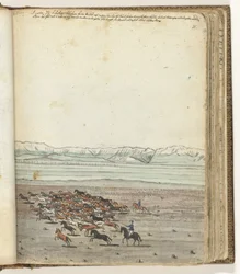 Herd of Horses