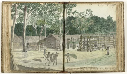 Elephant Enclosure
