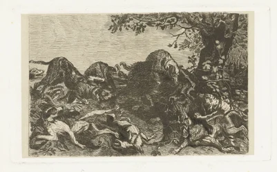Hunting Dogs Chasing a Wild Boar
