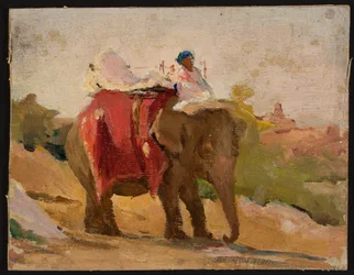 Chitorgarh - My Elephant. From a Journey to India