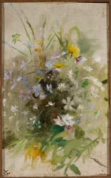 Wildflowers