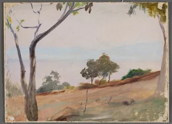 Landscape with trees. From a journey to Constantinople