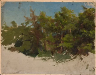 Study from Podolia