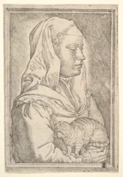 Girl with a Cat, 1546