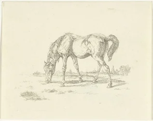 Grazing Horse Facing Right