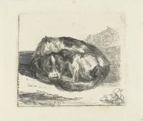 Sleeping Dog