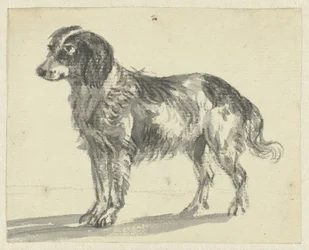 Standing Dog