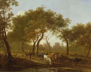 Unknown Image