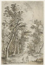 Forest Path