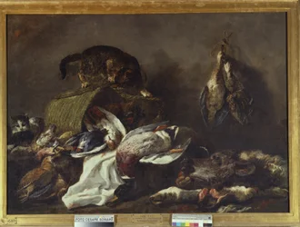 Still life with a cat