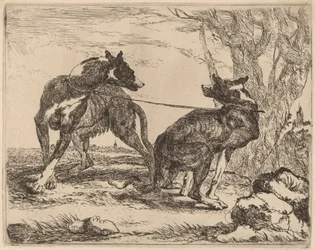 Two Greyhounds, Leashed and Facing Each Other