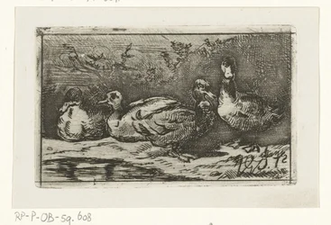 Four Ducks by the Waterside