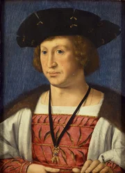 Floris van Egmond, Count of Buren