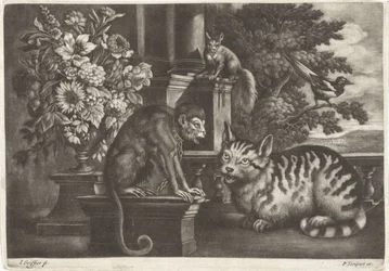Monkey, Cat, Squirrel, and Magpie