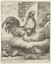 Rooster and Hen