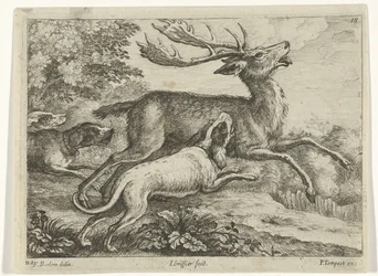Hunt for a Deer