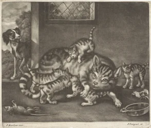 Cat with Five Kittens