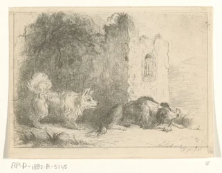 Two Dogs