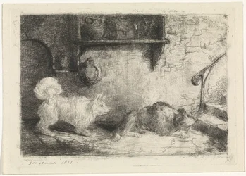 Two Dogs