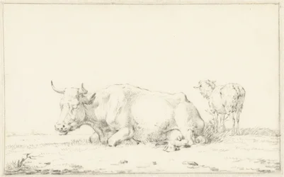 Lying Cow Facing Left and a Sheep on the Right