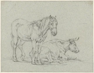 Standing Horse and a Lying Cow