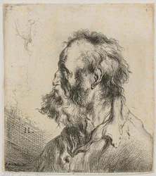 Bust Portrait of a Bearded Old Man