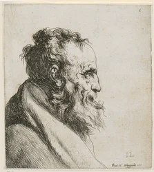 Bust of a Bearded Old Man, Profile to the Right