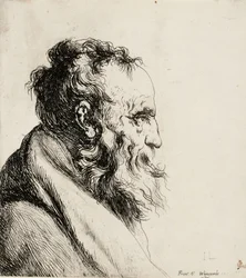 Bust of an Old Man, facing right