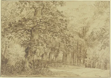 Forest Scene, Large Oak on the Left of the Path