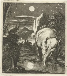 Hare and Elephant with Full Moon at a Water Source