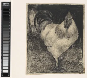 Rooster on One Leg