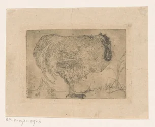Crouching Rooster