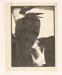 Raven on Birch Tree